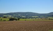 Randonnée A pied Rasdorf - Rundweg 1, Setzelbach - Photo 1