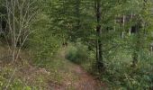 Tocht Mountainbike Virton - Montourdon  -  Balade_VTT_26kms - Photo 3