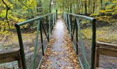 Percorso A piedi Předklášteří - Naučná stezka Předklášteří - Photo 4