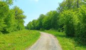 Trail Walking Durbuy - Petit-Han ... l Trail Walking Durbuy - Petit-Han ... l