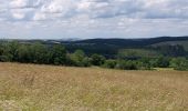 Excursión Senderismo Beauraing - Froidfontaine 010522 - Photo 4