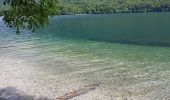 Tour Wandern Wochein - Lac de Bohinj - Photo 1