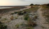 Excursión Senderismo Porto Cesareo - reserve Porto cesario  - Photo 2