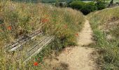 Tour Wandern Bailleul-sur-Thérain - Mont  César - Photo 7