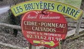 Trail Walking Saint-Pierre-de-Cormeilles - St Pierre de Cormeille - Photo 10