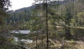 Tour Wandern Forbach - Rote Lache - Lac Schwarzenbachstausee - Badener Höhe (Rother n°39) - Photo 9