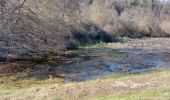Trail Walking Monétay-sur-Allier - la boire de Monetay + l Trail Walking Monétay-sur-Allier - la boire de Monetay + l