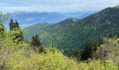 Trail Walking Revel - Lac du Crozet - Photo 17