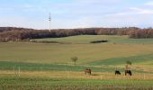 Percorso A piedi Sangerhausen - DE-Grüner Balken - Photo 8