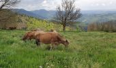 Trail Walking Le Puy-en-Velay - [01] Compostelle : du Puy-en-Velay à Saint-Privat-d'Allier - Photo 10