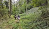 Trail Horseback riding Bourg-Bruche - 2023-09-16 Picnic CVA Climont Bourg Bruche - Photo 6