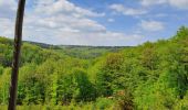 Tocht Stappen Eupen - Lac eupen croi bleue - Photo 1