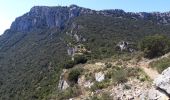 Tour Wandern Solliès-Ville - Le Petit Coudon-23-04-21 - Photo 4