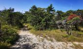 Trail Walking Mirabel-et-Blacons - Chapelle Saint-Christophe - Charsac - Photo 8