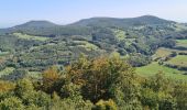 Tour Wandern Schnierlach - La tour du Faudé - Photo 6