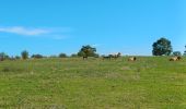 Tour Wandern Grézieu-la-Varenne - Grezieu la varenne à ste Consorce - Photo 2