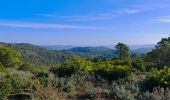 Tour Wandern Collobrières - les sources de la Giscle - Photo 5