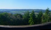 Tour Zu Fuß Gladenbach - Wanderweg E10 / Koppe-Turm - Photo 1