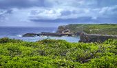 Trail Walking Anse-Bertrand - SityTrail - pointe du soufleur  - Photo 3