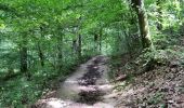 Trail Walking Chaumont-Gistoux - Sur les traces de la préhistoire  - Photo 3