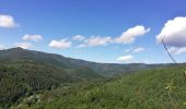 Randonnée Marche Oberhaslach - Le petit Ringelberg - Photo 8