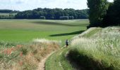 Trail Walking Huldenberg - #200619 - Loonbeek Neerijse - Photo 6