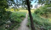 Trail Walking Draguignan - Musée de l’artillerie et cimetière américain 7 km - Photo 5