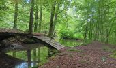 Trail Walking Spa - les eaux au sud de Spa  - Photo 8