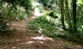 Trail Walking Plaintel - Les Mauriers par le chemin des fées. - Photo 4