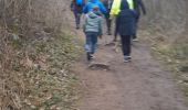 Trail Walking Marche-en-Famenne - 5km ADEPS à Marche en Famenne  - Photo 9