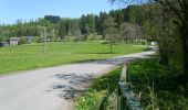 Trail On foot Lichtenfels - Lichtenfelser Panoramaweg - Photo 1