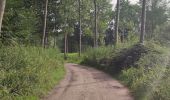 Tocht Stappen Bornem - Randonnée autour du lac de Bornem  - Photo 10