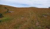 Tocht Stappen Fraissinet-de-Fourques - 48  sommet du Gargo 13/07/24 - Photo 5