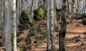 Excursión A pie okres Pezinok - Lesnícky náučný chodník Pece - Čertov kopec - Photo 6