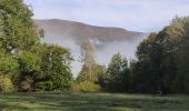 Tocht Stappen Bédeilhac-et-Aynat - au pied du Calames - Photo 3