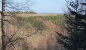 Tour Wandern La Roche-en-Ardenne - rando ornitho warempage 24/02/2021 - Photo 9