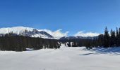 Tocht Stappen Saint-Agnan-en-Vercors - Les Hauts Plateaux du Vercors - Photo 1