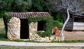 Tour Wandern Solliès-Toucas - Valaury - Apier - Matheron - Photo 10