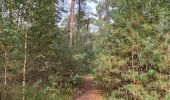 Trail Walking Pelt - De Wulp Hageven Grote Heide 24 km - Photo 8