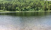 Excursión Senderismo La Bresse - Feignes-sous-Vologne / Lac de la Lande / Lac de Blanchemer - Photo 3