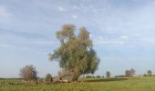 Tocht Stappen Comblain-au-Pont - oneux . comblain-la-tour . oneux - Photo 3