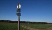 Trail Walking Philippeville - RB-Na-18_La-ruralité-condruzienne-dans-toute-sa-splendeur - Photo 2