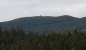 Excursión Senderismo Murbach - Murbach - Grand Ballon - Lac du Ballon - Col du Wolfsgrube - Photo 11