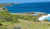 Randonnée Marche Anse-Bertrand - Trou du souffleur  - Photo 2