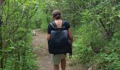 Trail Walking Giverny - Giverny Le lézard vert - Photo 13