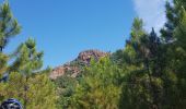 Excursión Bici de montaña Les Adrets-de-l'Estérel - les adrets 2019 - Photo 3