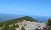 Trail Walking Beaumont-du-Ventoux - Mt Serein - Cachillan - Photo 3