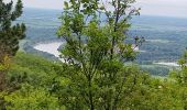 Randonnée Marche Tokaj - Tokaj - Photo 11