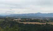 Randonnée Marche Sisteron - Sisteron  - Photo 6