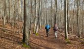 Tour Wandern Oberhaslach - roche pfaffenlapp. oberhaslach - Photo 3